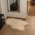 Naturalna skóra owcza - Island - Biały