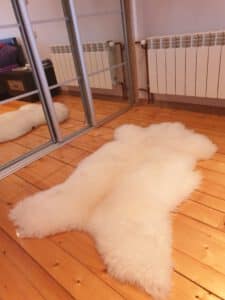 Biała Skóra Owcza - Angielka