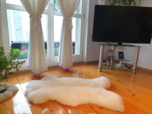 Biała Skóra Owcza - Angielka