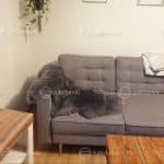 Naturalna Skóra Owcza - Szara