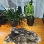 Skóra Owcza - Czarny muflon - Naturalna