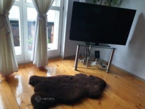 Skóra Owcza - Brąz - Naturalna