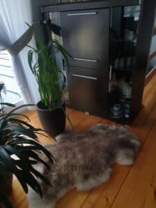 Skóra Owcza - kasztanowy muflon - Naturalna