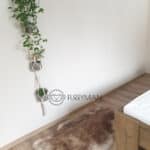 Skóra Owcza - kasztanowy muflon - Naturalna