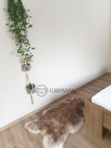 Skóra Owcza - kasztanowy muflon - Naturalna