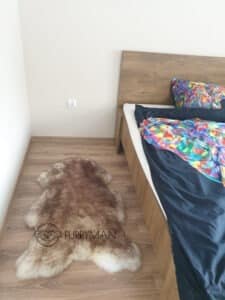 Skóra Owcza - kasztanowy muflon - Naturalna
