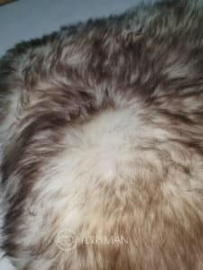Poduszka - Ozdobna - Dekoracyjna - Skóra Owcza - Naturalna - muflon