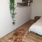 Skóra Owcza - Muflon - Naturalna