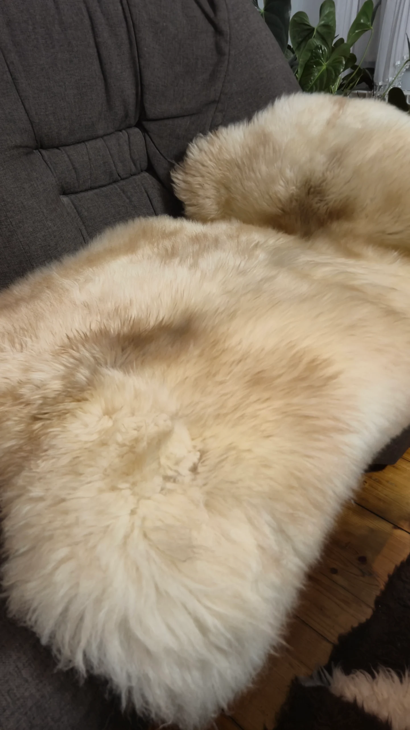 Skóra Owcza - Unikat - Naturalna - Żółty Melanż