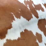 Skóra Bydlęca - Czerwono- Biała- Polska