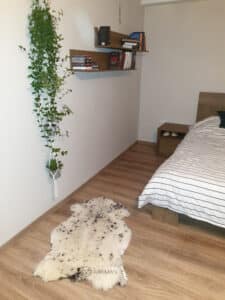 Skóra Owcza - Unikat - Naturalna - Kropkowana