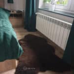 Skóra Owcza - Brąz - Naturalna