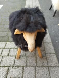 Baran Dekoracyjny - Duży