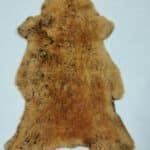 Skóra owcza - Naturalna - Brąz - Golden Top