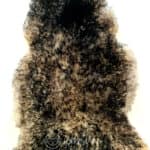 Skóra Owcza - Muflon - Naturalna - Czarny