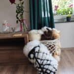 Naturalna Skóra Owcza z Warstwą Hydrofobową - Biała