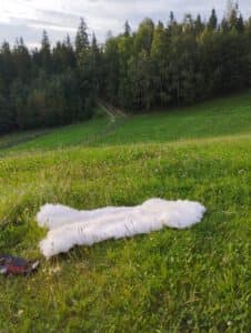 Naturalna Skóra Owcza z Warstwą Hydrofobową - Biała