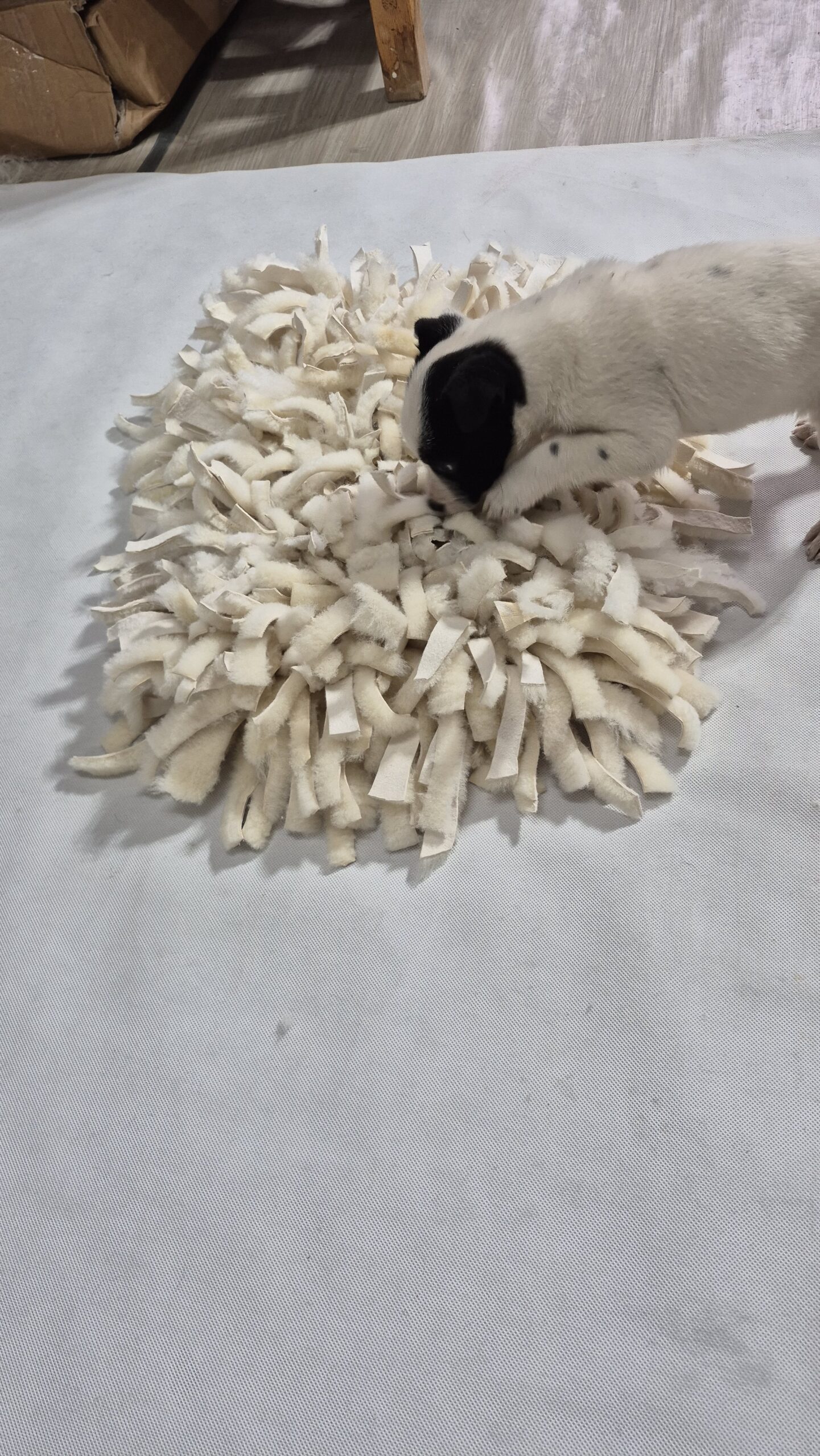 Mata węchowa dla psa ze skóry naturalnej – ręcznie robiona zabawka sensoryczna