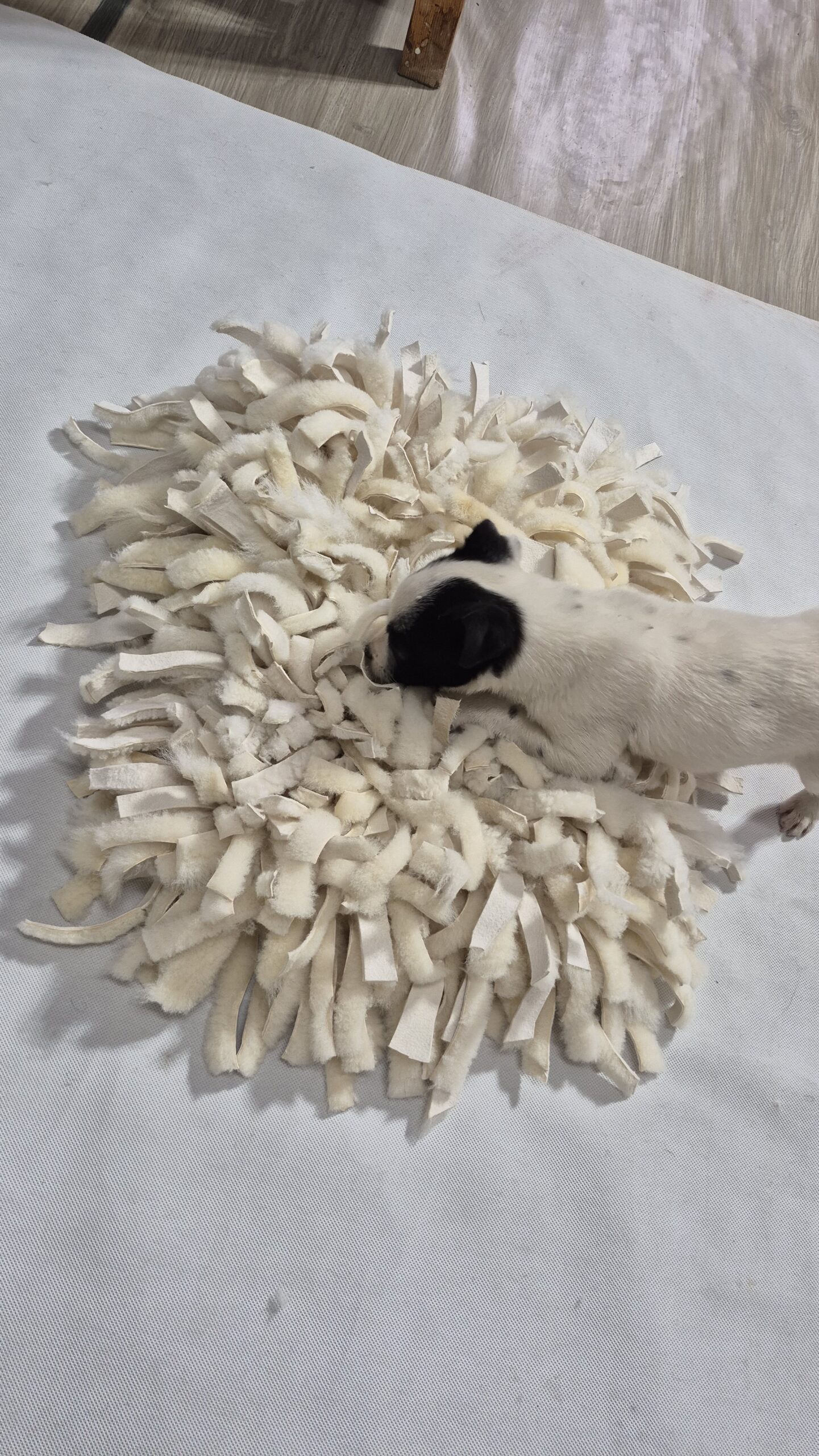 Mata węchowa dla psa ze skóry naturalnej – ręcznie robiona zabawka sensoryczna