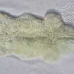 Skóra owcza - Naturalna - Miętowa