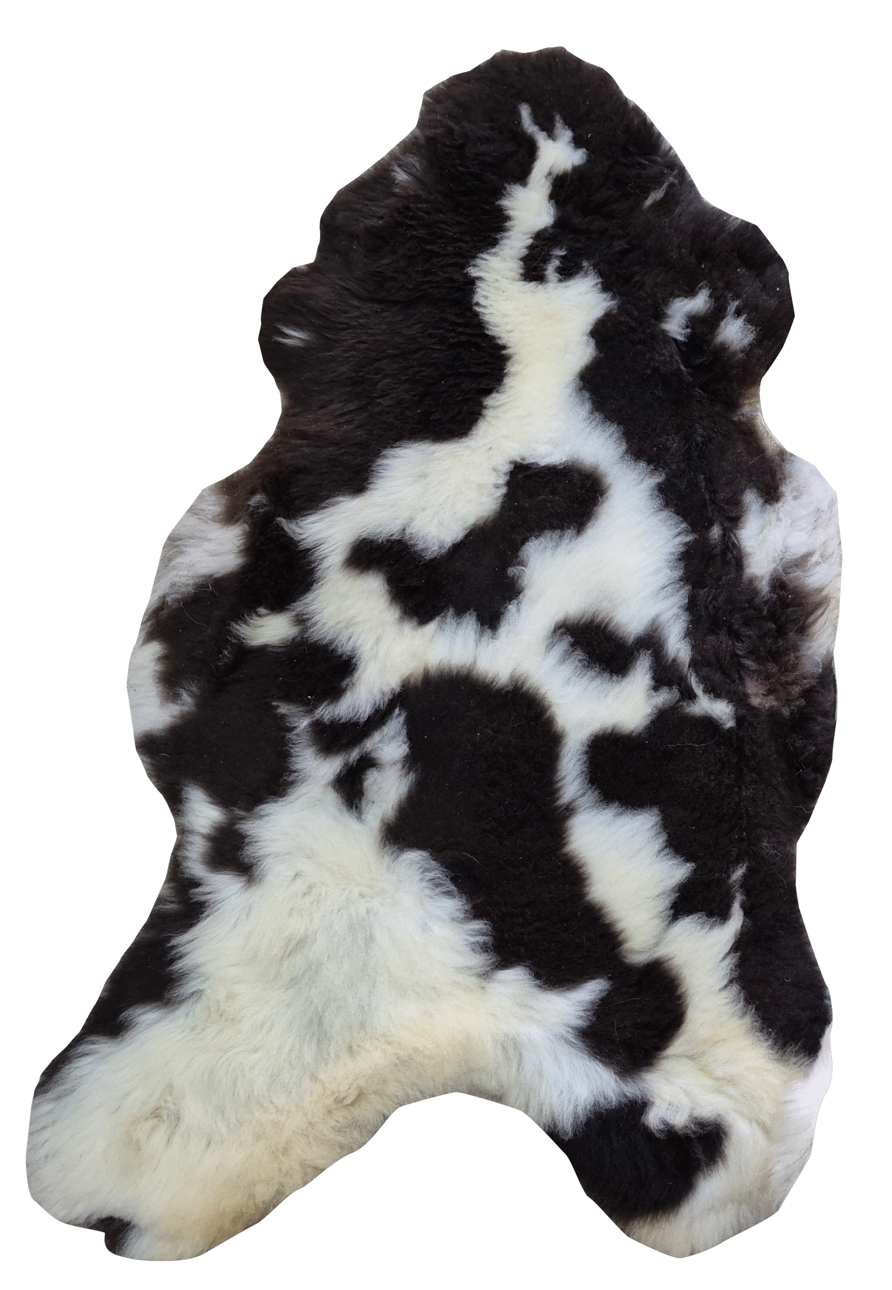 Skóra Owcza - Unikat - Naturalna - Łaciata